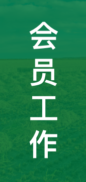 xin5.png